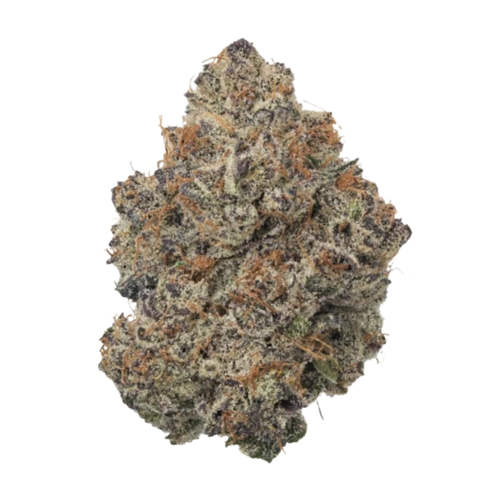 Mai Tai Gelato
